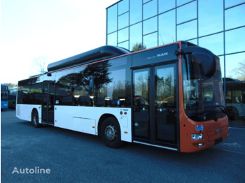 MAN Lion's City - Autobuz urban