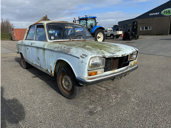 Peugeot 304 - Autoutilitară: Foto 3