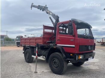 Mercedes-Benz 1317 - Camion basculantă