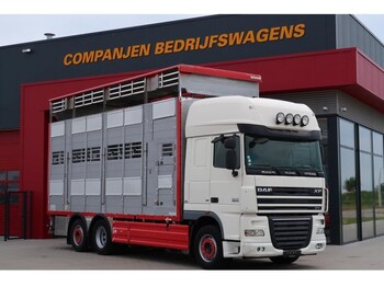 Camion transport animale DAF XF 105.410 Super Space Cab: Foto 1