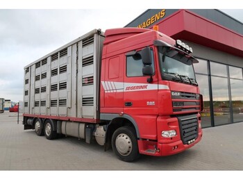 Camion transport animale DAF XF 105-460: Foto 1