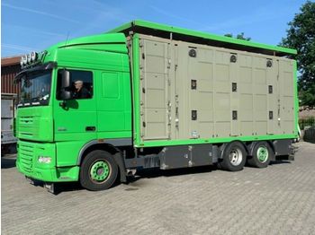 Camion transport animale DAF  XF 105/460 SC Menke 3 Stock Hubdach: Foto 1