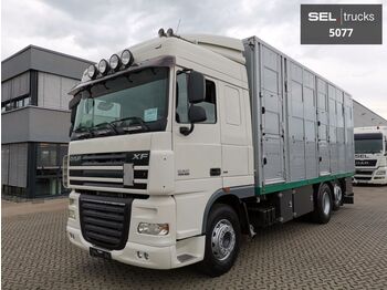 Camion transport animale DAF XF 105.460 / ZF Intarder / 3 Stock: Foto 1