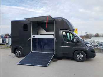 Camion transport animale nou Fiat Böckmann Compact L Stall LKW: Foto 1