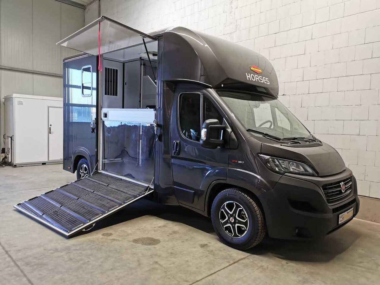 Camion transport cai nou Fiat Böckmann Compact Stall LKW: Foto 30