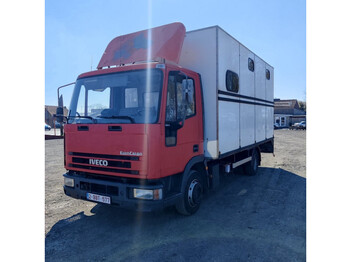Camion transport cai Iveco eurocargo: Foto 1
