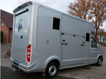 Camion transport cai MAN 3.180 Roelofsen  Comfort XL 2 Pferde: Foto 3