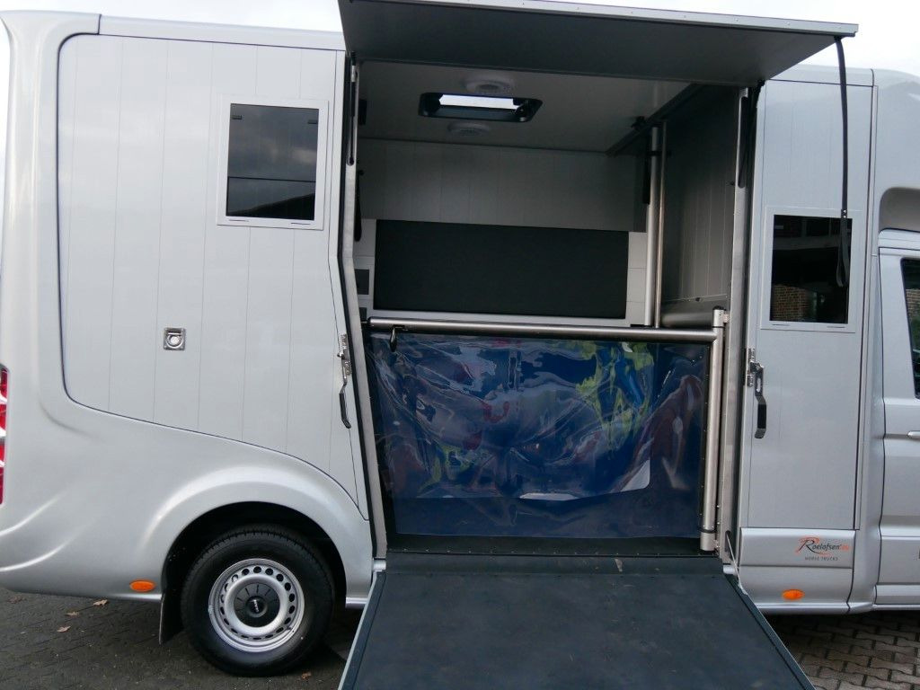 Camion transport cai MAN 3.180 Roelofsen  Comfort XL 2 Pferde: Foto 24