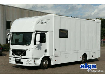 Camion transport animale MAN 7.150 BL TGL, Pferdetransporter,Verkaufsfahrzeug: Foto 1