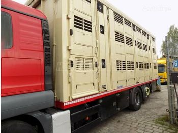 Camion transport animale MAN TGS 26.440: Foto 1