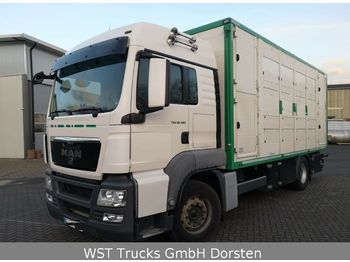 Camion transport animale MAN TGX 18.480 LX Menke 2 Stock Vollalu: Foto 1