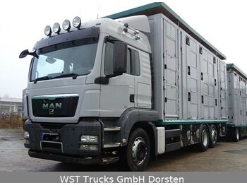 Camion transport animale MAN TGX 26.440 LXL Menke   3 Stock Vollalu: Foto 1