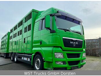 Camion transport animale MAN TGX 26.480 XL KABA   3 Stock Vollalu: Foto 1