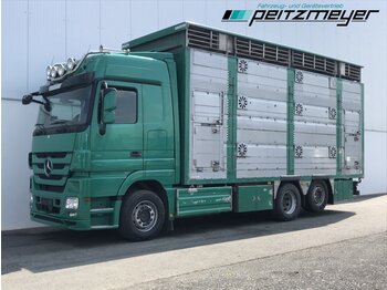 Camion transport animale MERCEDES-BENZ Actros 2544 LL Pezziaoli 3 Stock: Foto 1