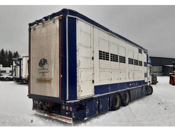 Camion transport animale Menke Janzen djurtransportbyggnation: Foto 1