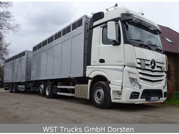 Camion transport animale Mercedes-Benz Actros 2545 L BDF Menke Einstock "Neu" Mehrfach: Foto 4
