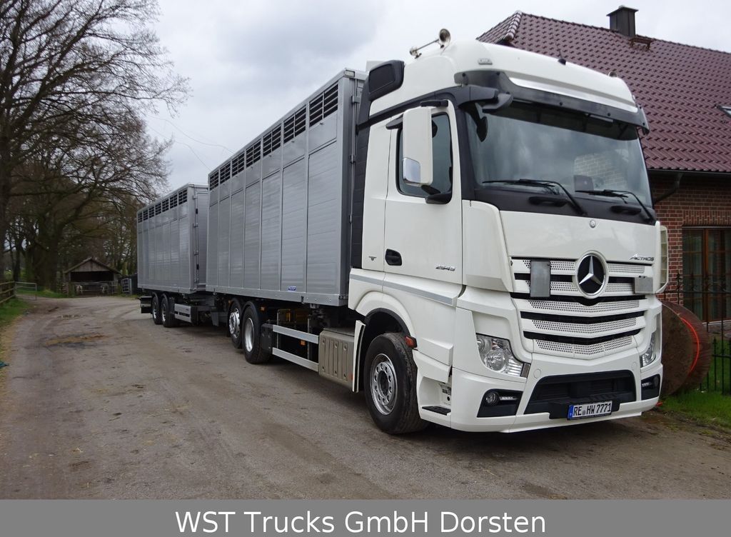 Camion transport animale Mercedes-Benz Actros 2545 L BDF Menke Einstock "Neu" Mehrfach: Foto 3