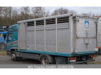 Camion transport animale Mercedes-Benz Atego 1223  1 Stock Hohe Gitter  !SEHR GEPFLEGT!: Foto 3