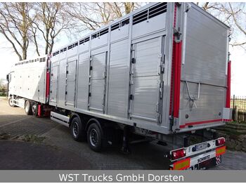 Camion transport animale Schmitz Cargobull BDF Menke Einstock "Neu Tandem: Foto 1
