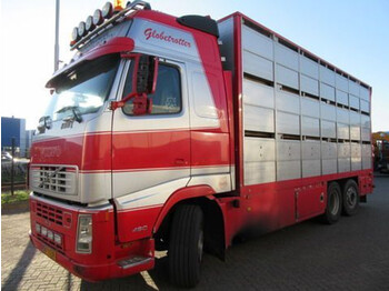 Camion transport animale Volvo FH12 6X2R FAL8.0 RADT-A8 HIGH: Foto 1