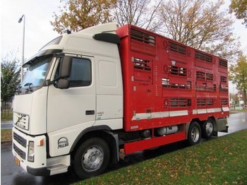 Camion transport animale Volvo FH 12: Foto 1