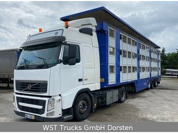 Camion transport animale Volvo FH 460  XL Mega Vollausstattung: Foto 1
