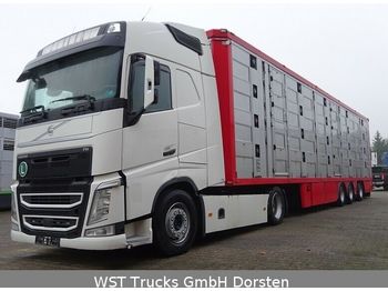 Camion transport animale Volvo FH 460  XL Menke 4 Stock Vollausstattung: Foto 1