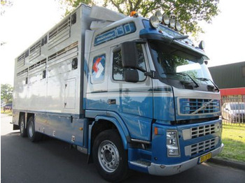 Camion transport animale Volvo FM 9: Foto 3