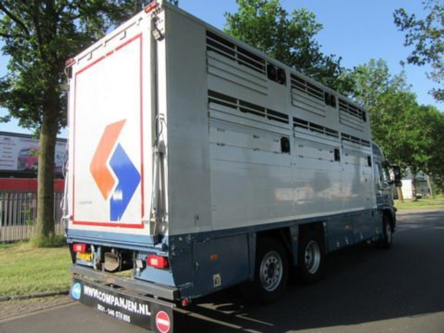 Camion transport animale Volvo FM 9: Foto 18