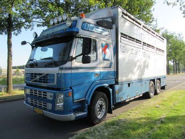 Camion transport animale Volvo FM 9: Foto 16