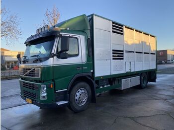 Camion transport animale Volvo FM 9.300 4X2 - LIVESTOCK + HYDRAULIC FLOOR - MAN: Foto 1