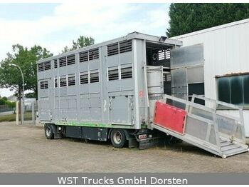 Remorcă transport animale KABA 3 Stock  Vollalu 7,30m Hubdach: Foto 1