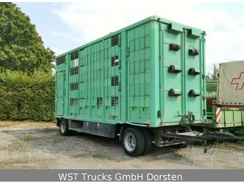Remorcă transport animale KABA 4 Stock  Vollalu 7,30m: Foto 1