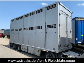 Remorcă transport animale Menke 2 Stock  Vollalu: Foto 1