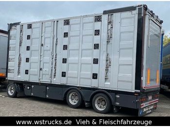 Remorcă transport animale Menke 5 Stock Unfall  Hubdach  Vollalu Typ 2: Foto 1