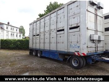 Remorcă transport animale Menke-Janzen Menke 2 Stock Spindel Viehanhänger: Foto 1