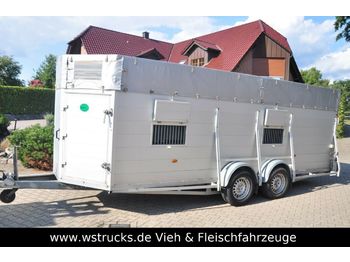 Blomert Einstock Vollalu 5,70 m  - Remorcă transport animale