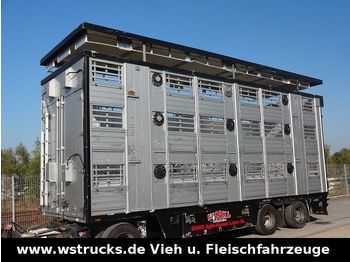 Finkl 3 Stock 8,30 Vollausstattung  - Remorcă transport animale