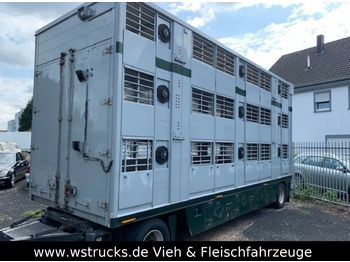 Finkl 3 Stock   Vollalu  - Remorcă transport animale