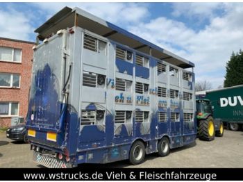 Finkl Tandem Hubdach 3 Stock  - Remorcă transport animale