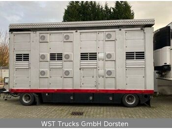 Remorcă transport animale Stehmann3 Stock Ausahrbares Dach  Vollalu: Foto 1