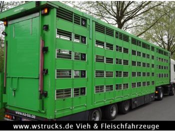 Semiremorcă transport animale KABA 5 Stock Lenk Lift Typ2 Lüfter Dusche Tränk: Foto 1