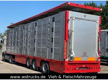 Semiremorcă transport animale Menke 4 Stock Lenk Lift Typ2 Lüfter Dusche Tränk: Foto 1