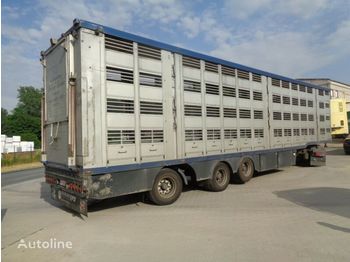 Semiremorcă transport animale Menke-Janzen Élőállat szállító félpótkocsi: Foto 1