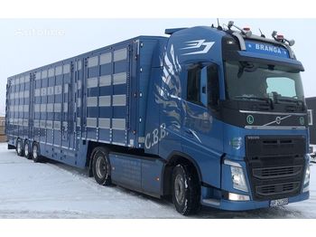 Semiremorcă transport animale pentru transport de animale nou New PLAVAC 3+4: Foto 1