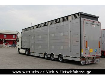 Semiremorcă transport animale Pezzaioli SBA31-SR  3 Stock  Vermietung: Foto 1