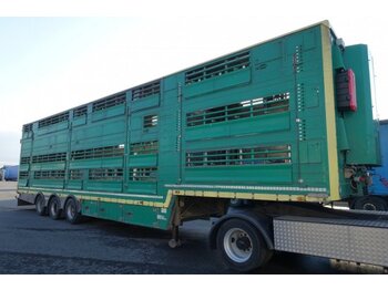 Semiremorcă transport animale Pezzaioli SBA32/U, 3 Stock , Viehtransporter  , Tränkeranlage,: Foto 1