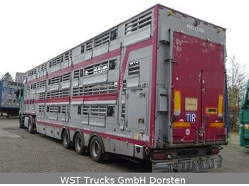 Semiremorcă transport animale Pezzaioli SBA 31U 3Stock  Vollausstattung GPS Top Zustand: Foto 1
