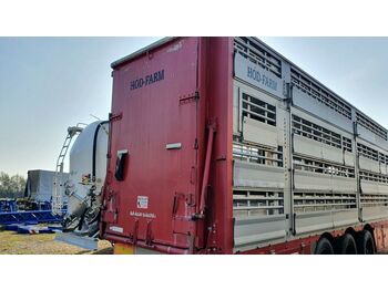 Semiremorcă transport animale Pezzaioli SBA-63, 3Stock: Foto 1