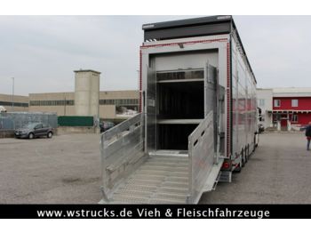 Pezzaioli 2 x SBA31-SR  3 Stock "Neu" Sofort  - Semiremorcă transport animale
